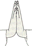 ũ 