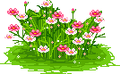 ũ 