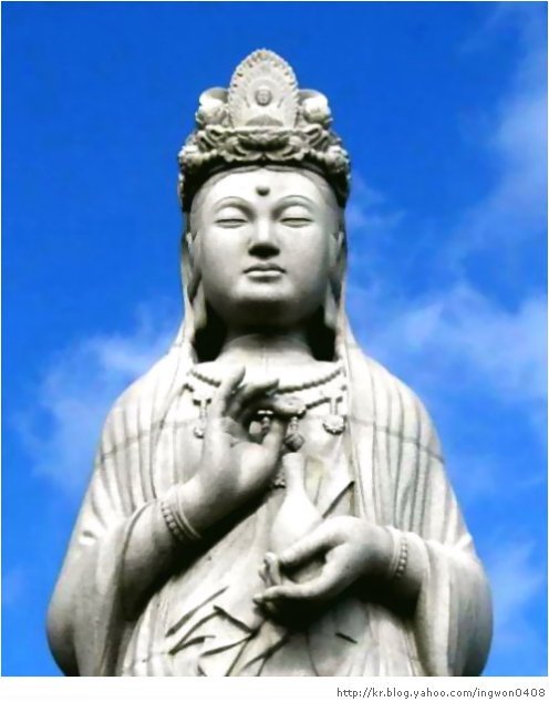 ũ 