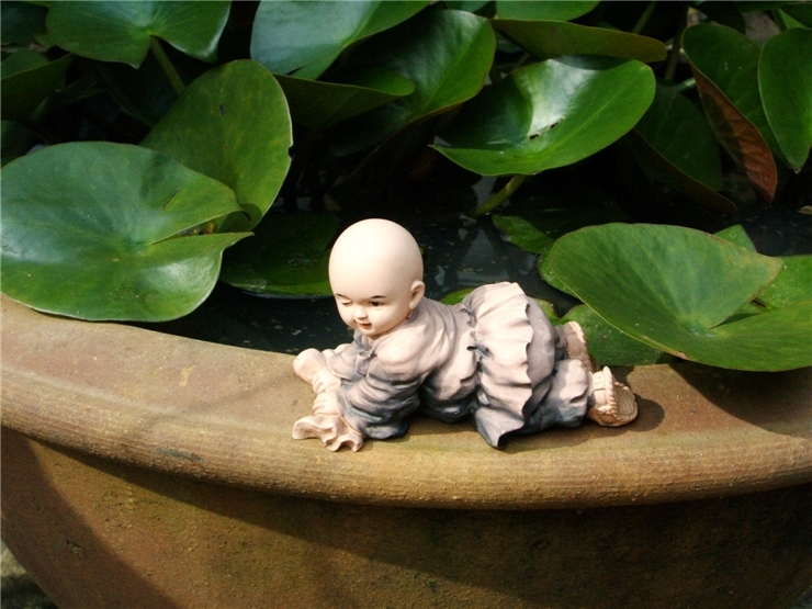 ½ÇÁ¦Å©±â·Î º¸±â