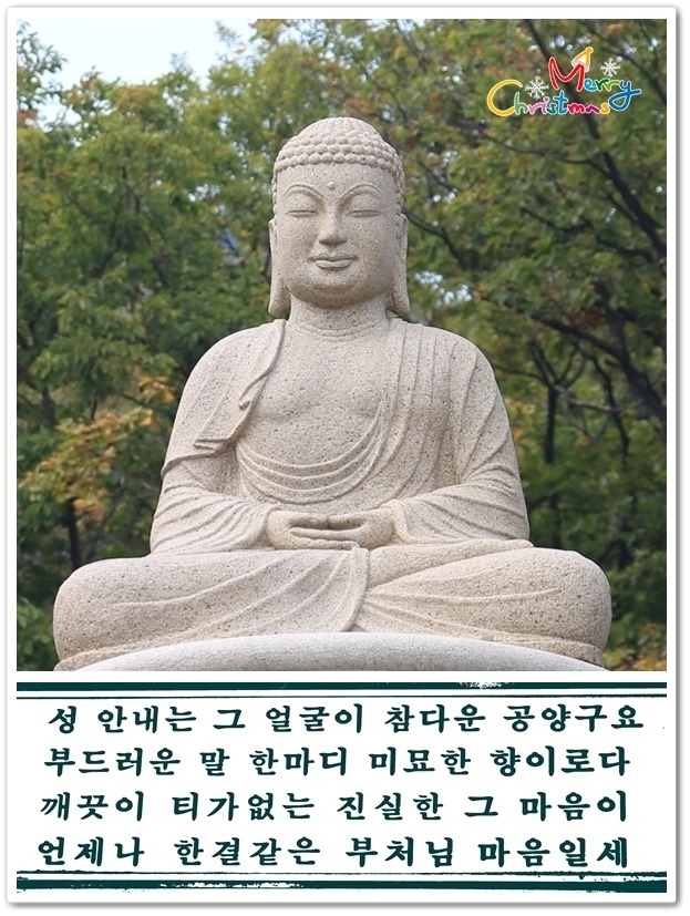 ũ 