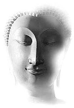 ½ÇÁ¦Å©±â·Î º¸±â