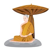 ũ 