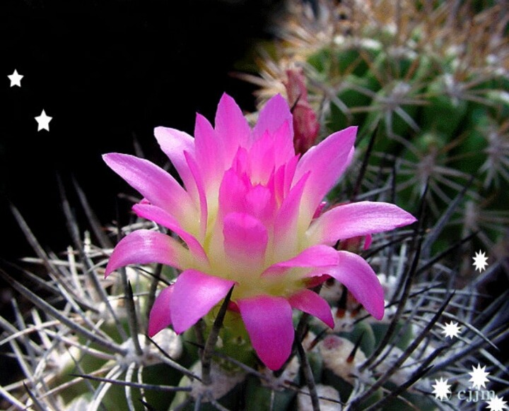 ½ÇÁ¦Å©±â·Î º¸±â