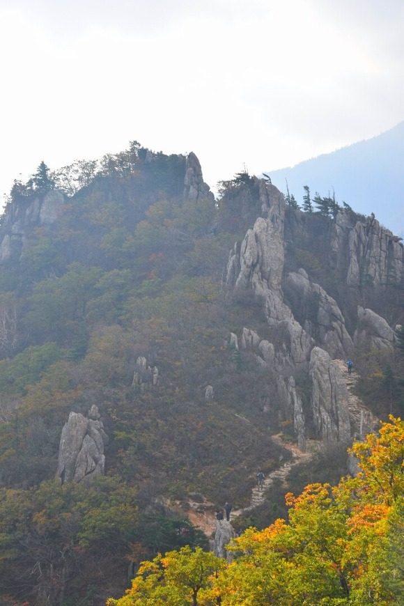 ½ÇÁ¦Å©±â·Î º¸±â