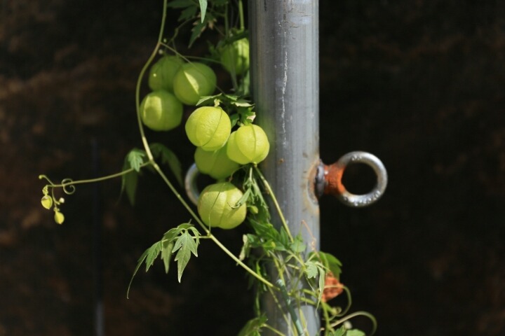 ½ÇÁ¦Å©±â·Î º¸±â