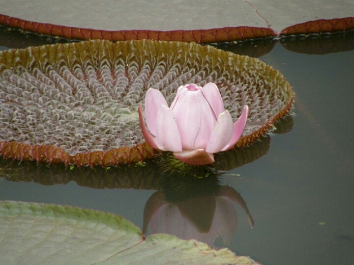 ½ÇÁ¦Å©±â·Î º¸±â