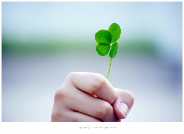 ½ÇÁ¦Å©±â·Î º¸±â