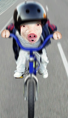ũ 