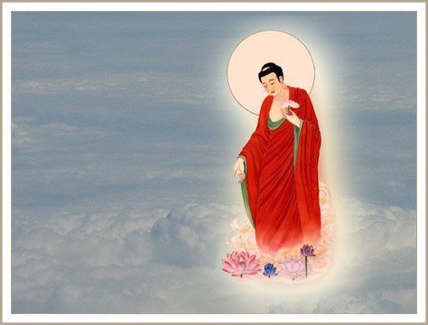 ½ÇÁ¦Å©±â·Î º¸±â