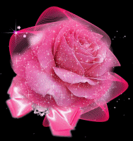 ũ 