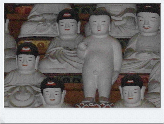ũ 