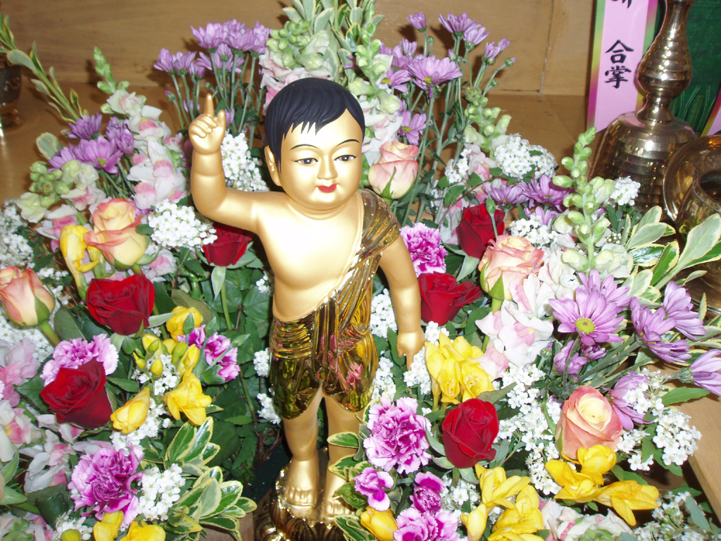 2553buddhabirthday-child.jpg
