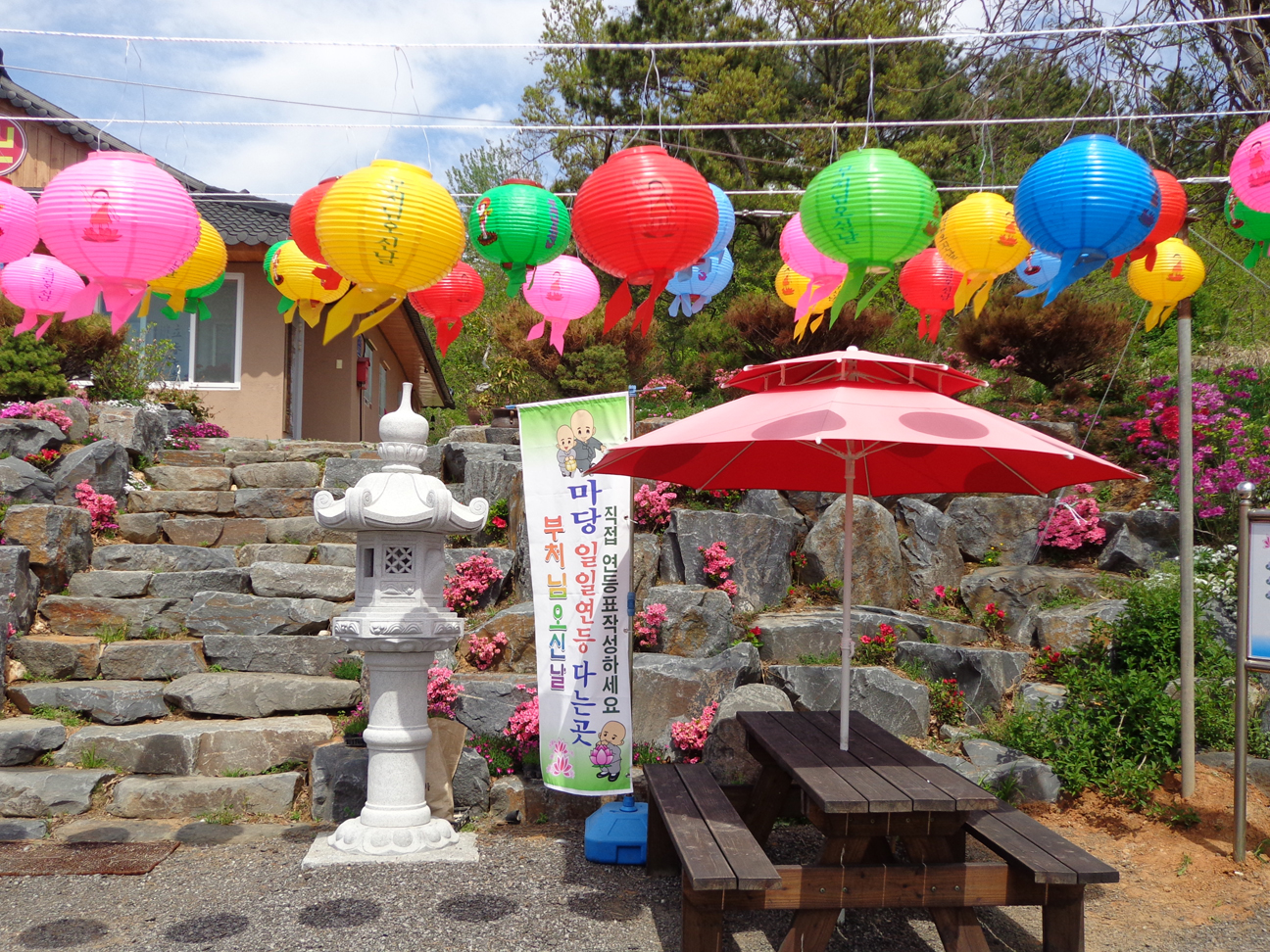 DSC00027.jpg