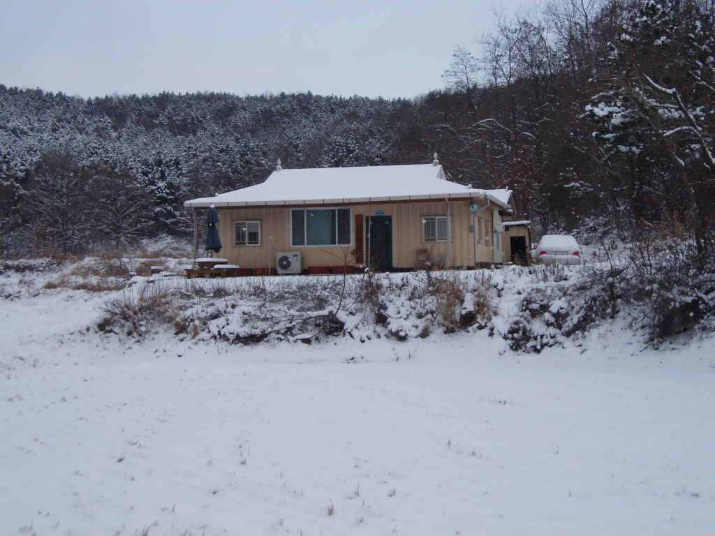 P1013484.JPG