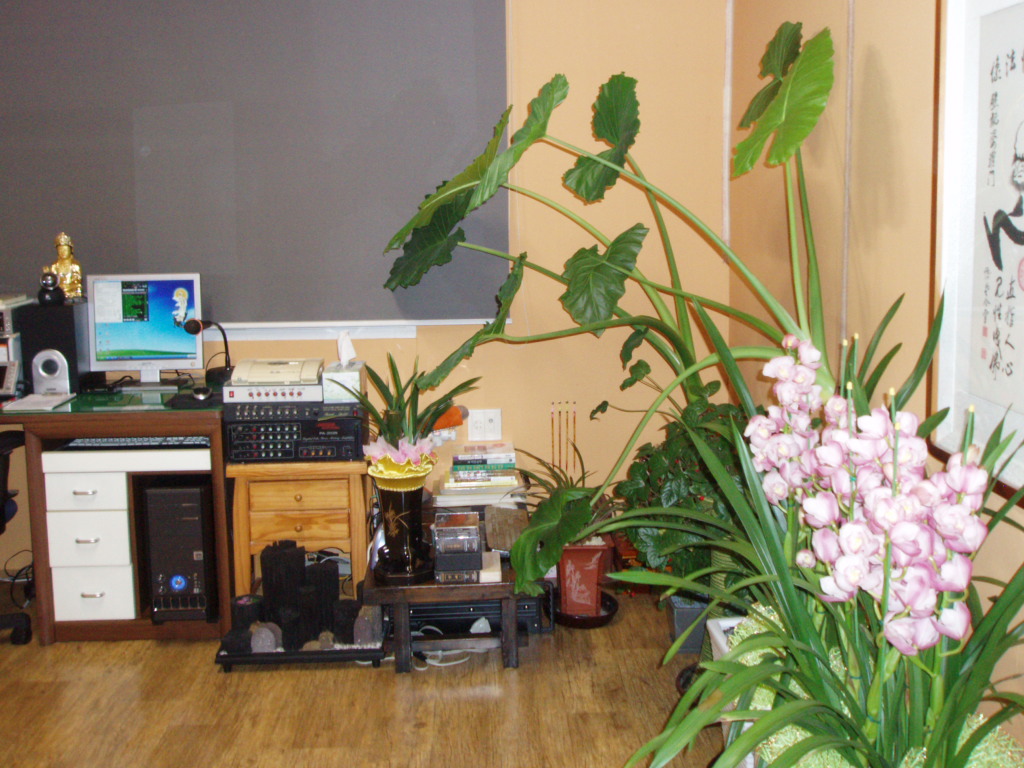 P1013488.JPG