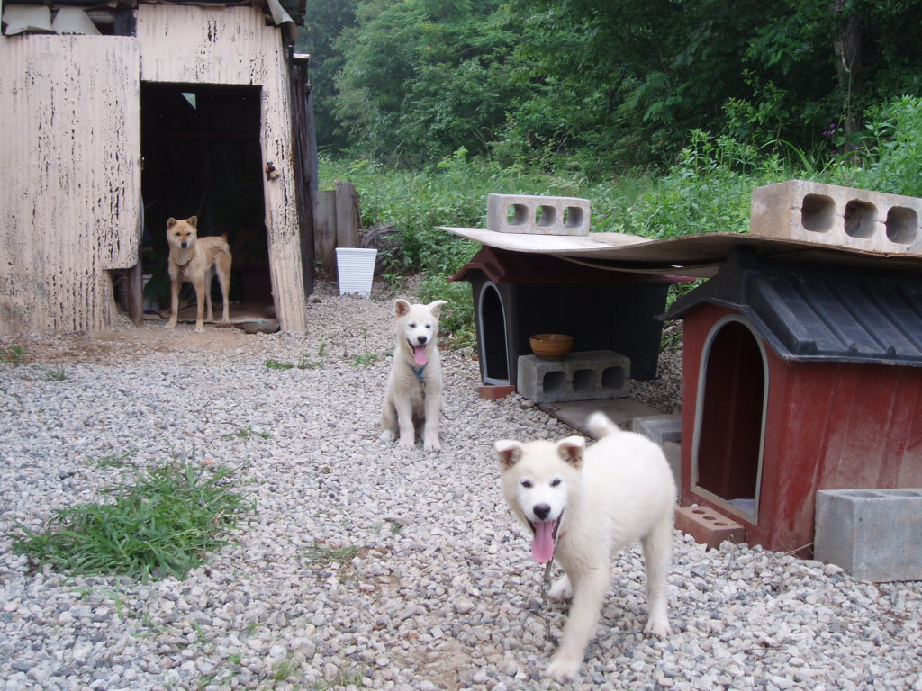P1013600.JPG