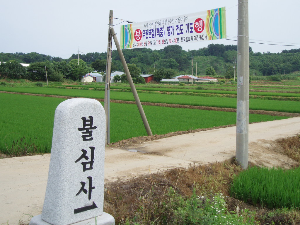 P1013620.JPG