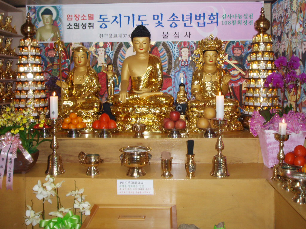 P1013817.JPG