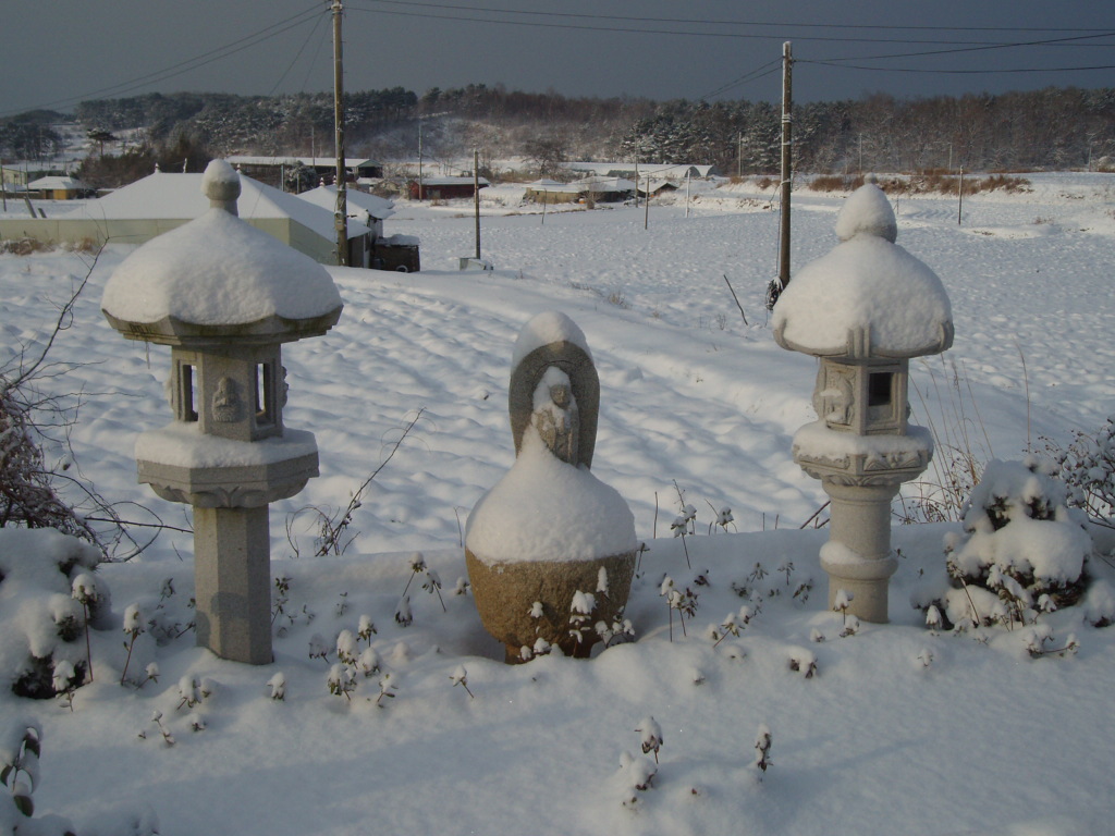 P1013833.JPG