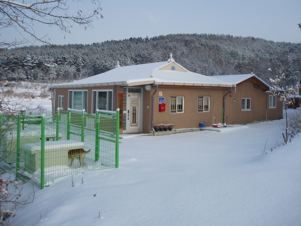 P1013835.JPG