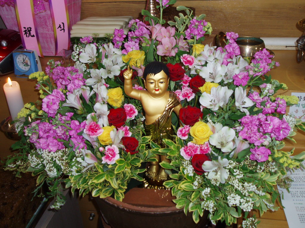 P1013959.JPG