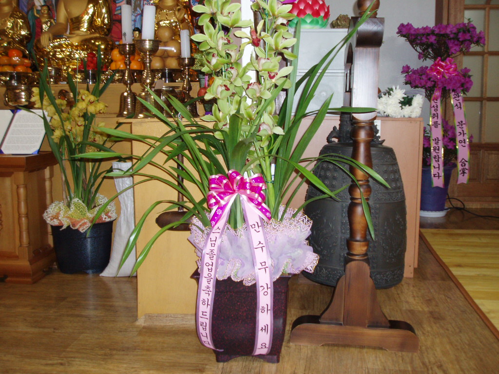 P1014212.JPG