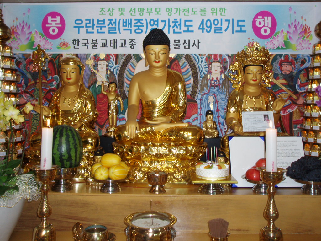 P1014455.JPG