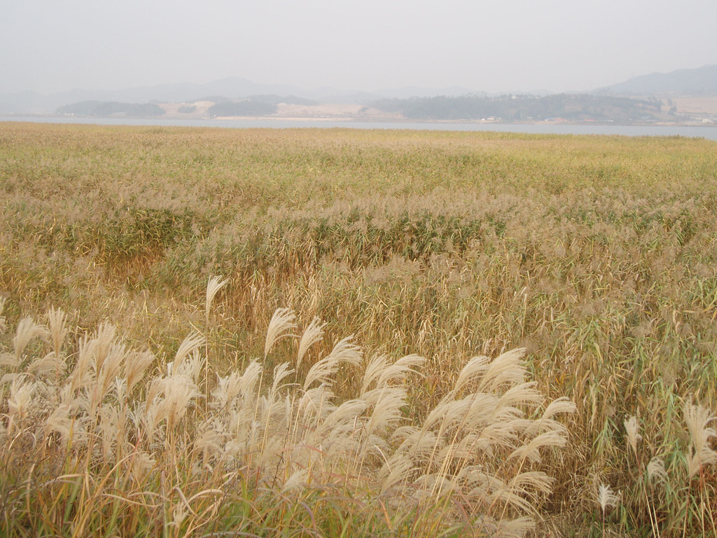 P4160761.jpg
