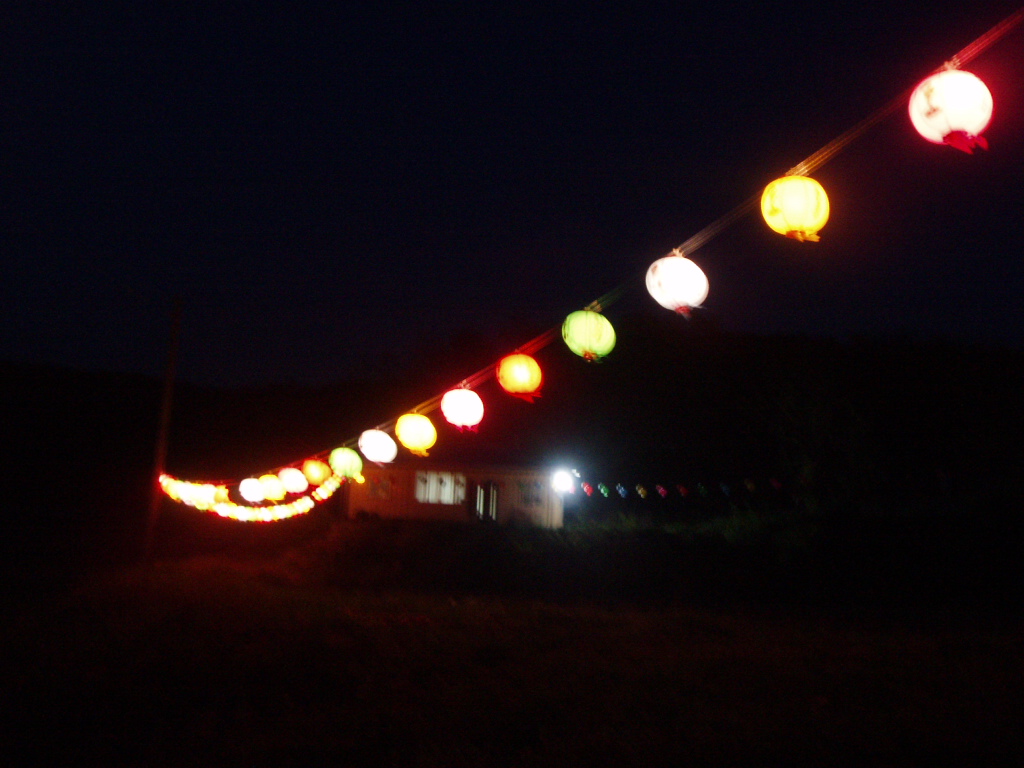 P5012560.JPG