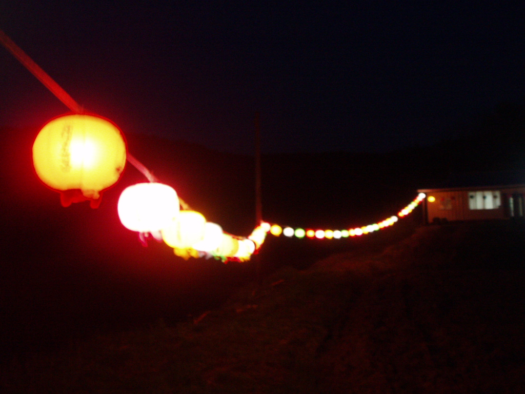 P5012562.JPG