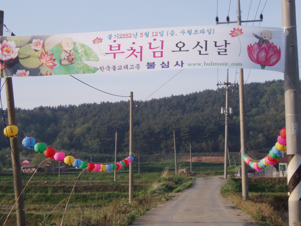 P5032566.JPG