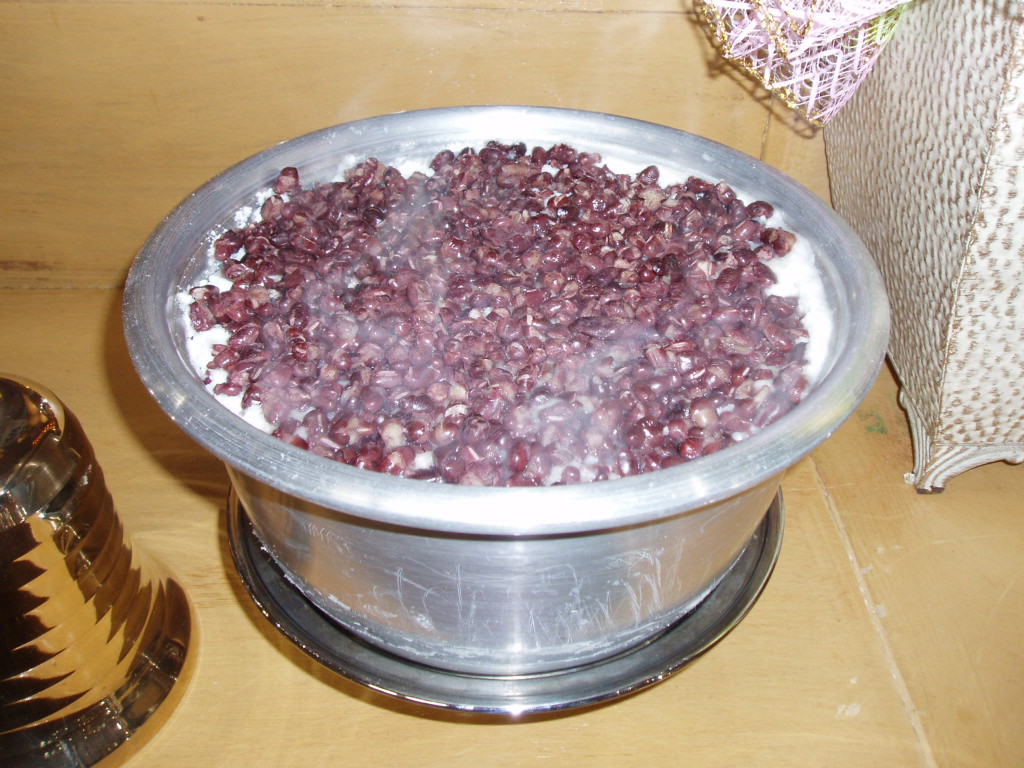 bulsim-08.JPG