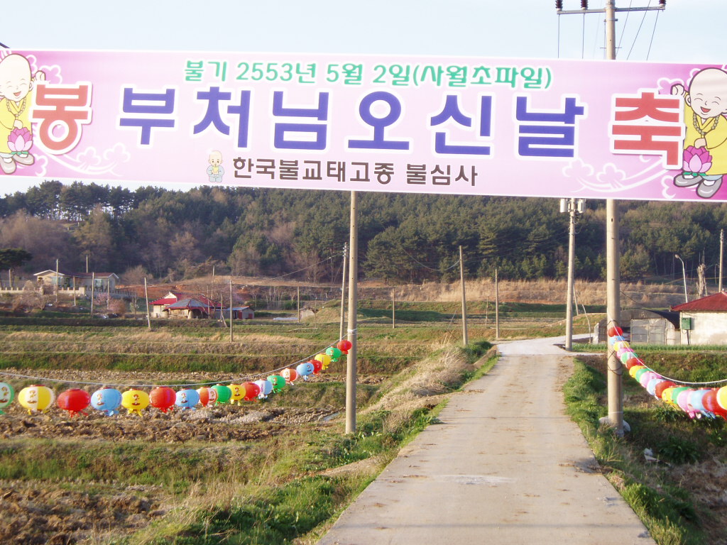 bulsimsa-buddhabirthday2553.JPG