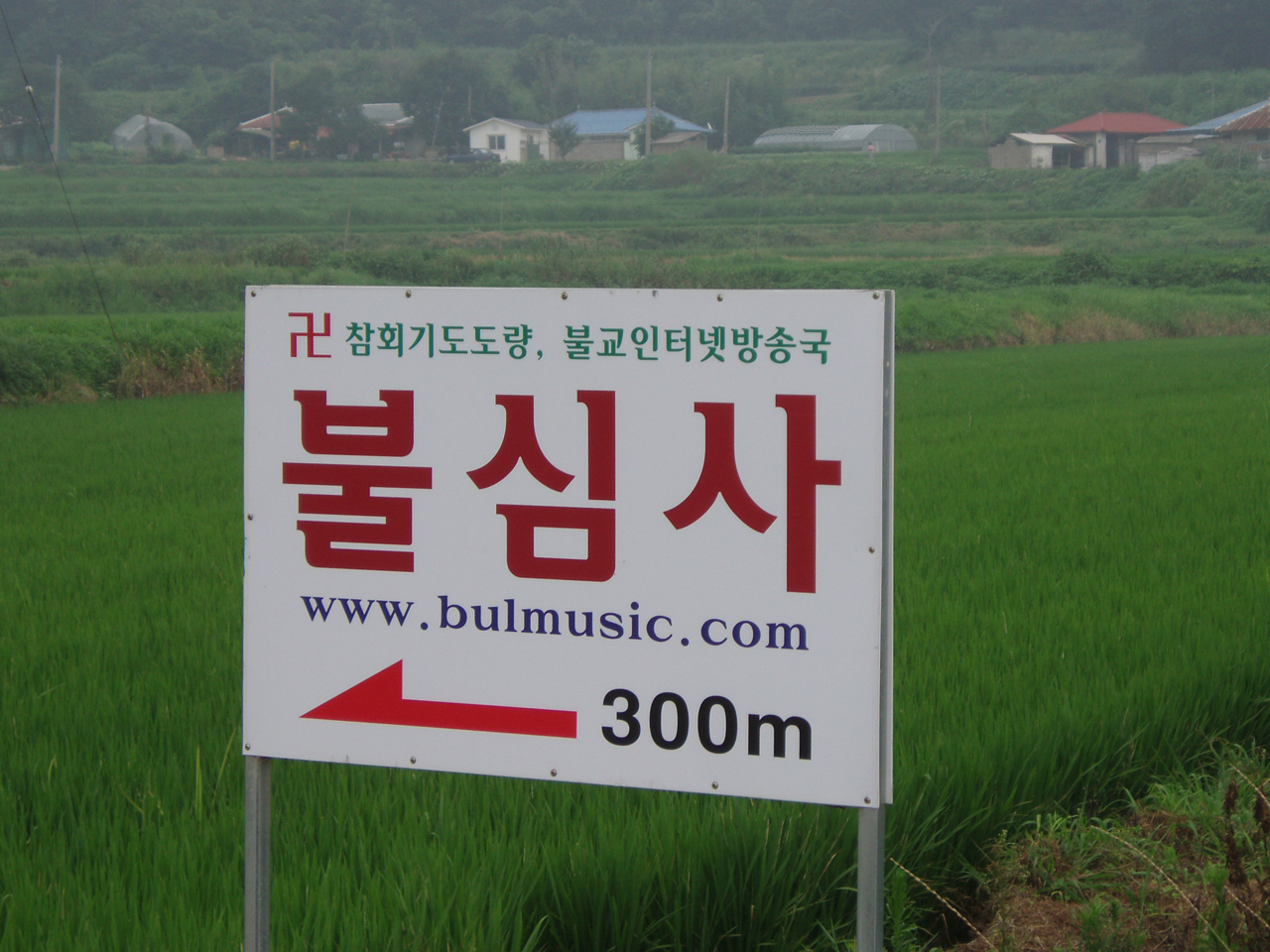 bulsimsa-open02.jpg
