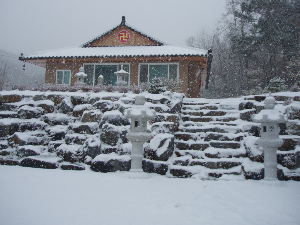 bulsimsa2012winter.JPG