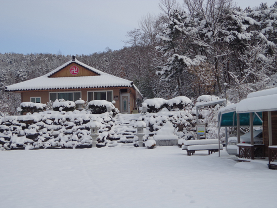 bulsimsa2558winter-10.jpg