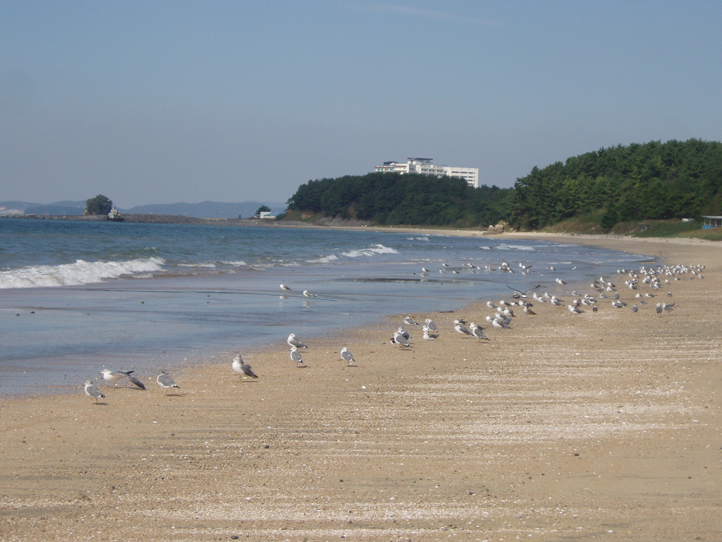 doksanbeach.jpg