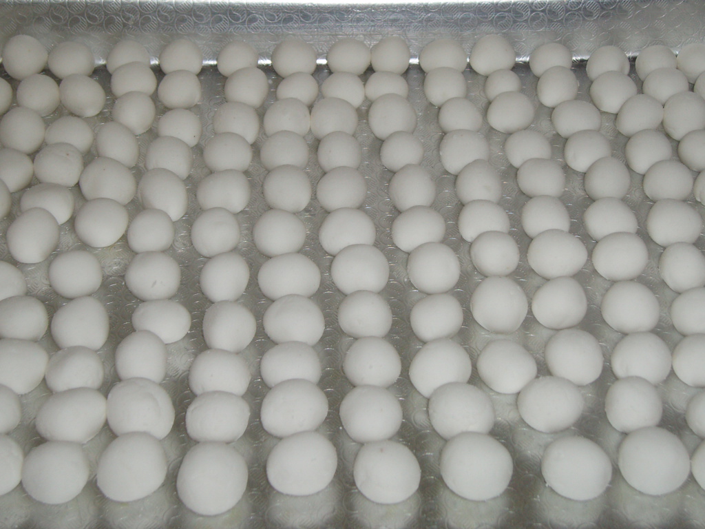 dongji2555-4.JPG