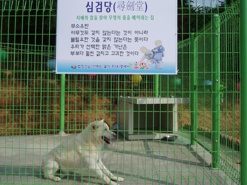 simgumdang-01.JPG
