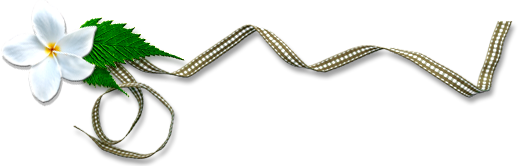 ũ 