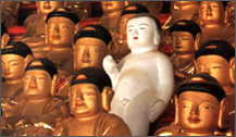ũ 