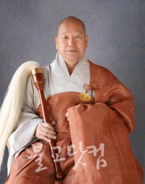 ũ 