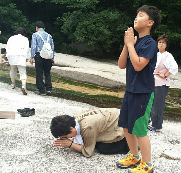 ũ 