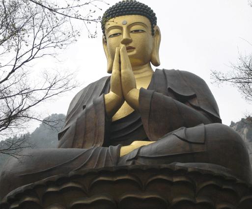 ũ 